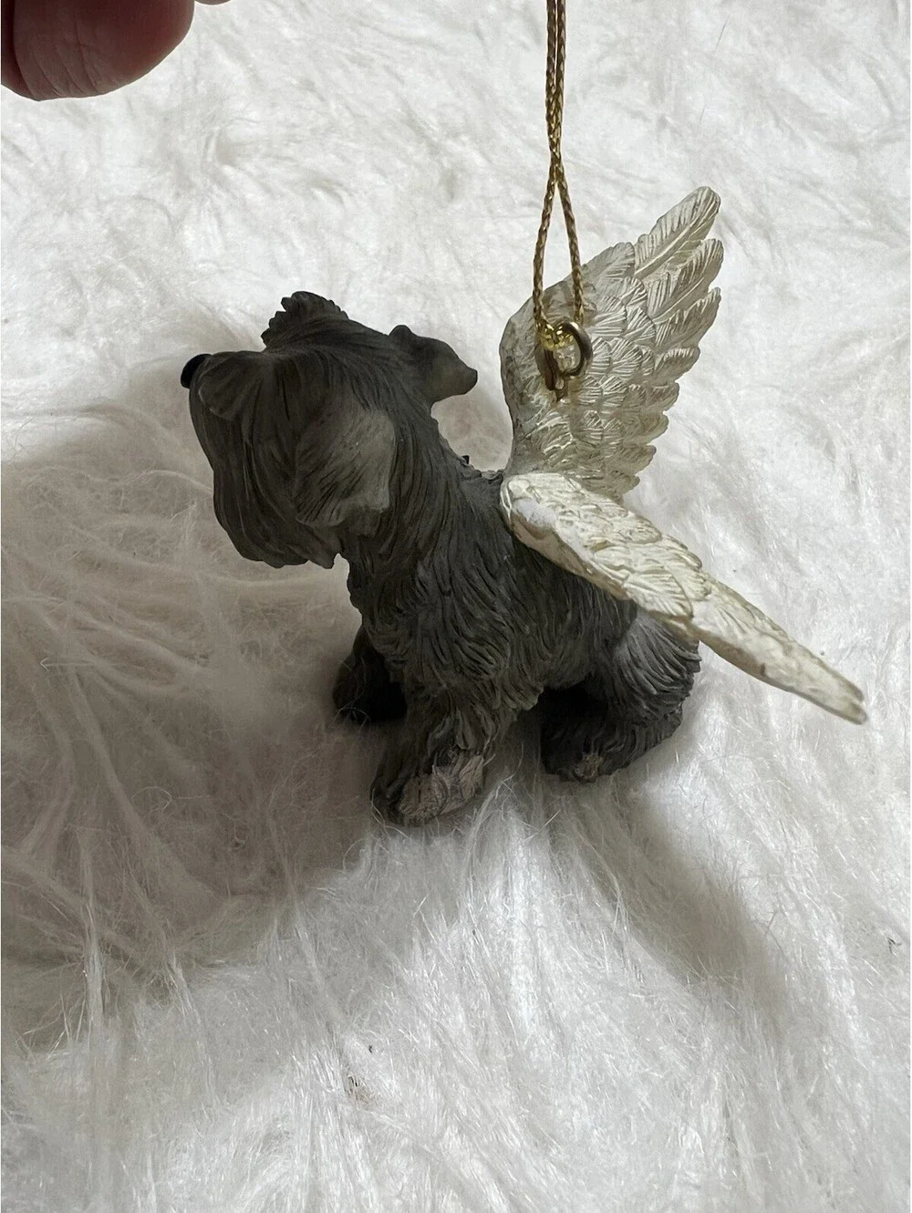N/A schnauzer angel